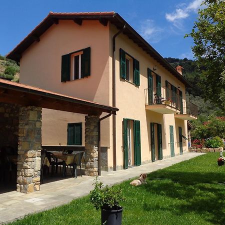 Agriturismo Turlin Vallebona Extérieur photo