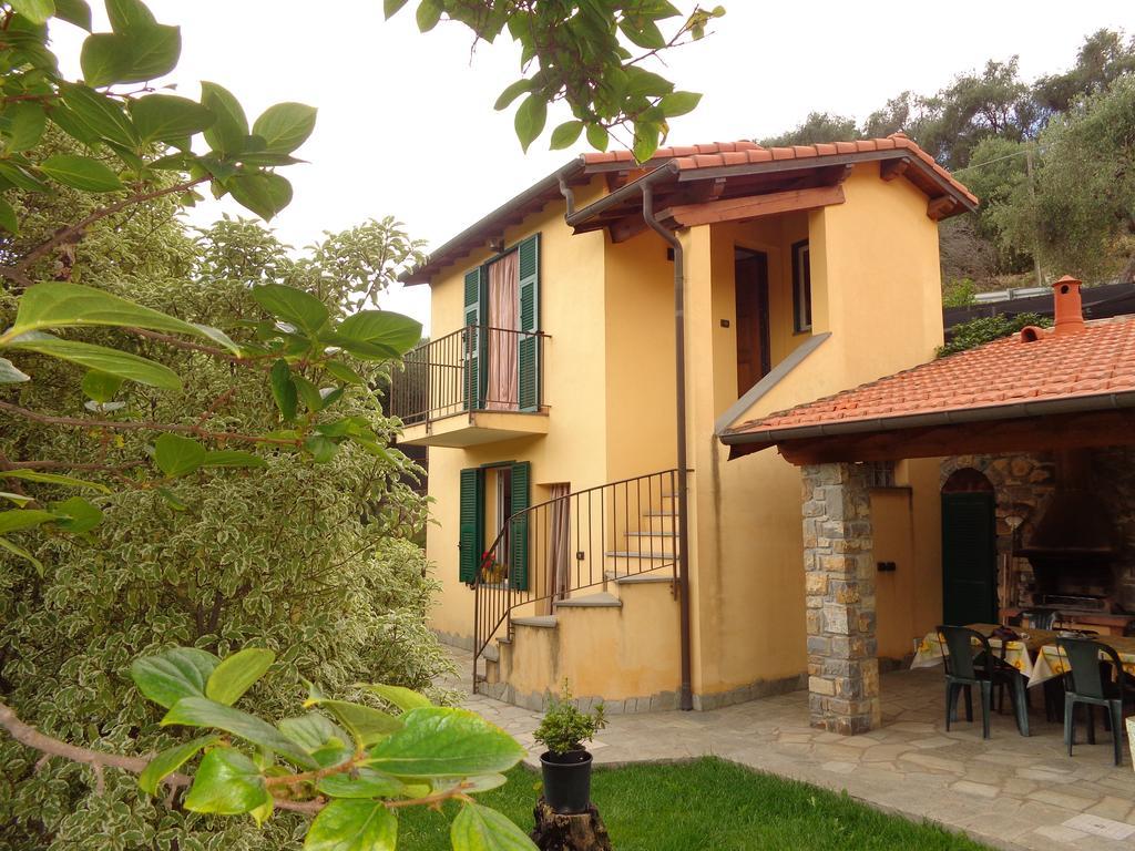 Agriturismo Turlin Vallebona Extérieur photo