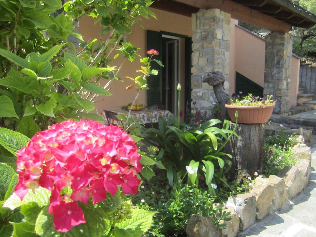 Agriturismo Turlin Vallebona Extérieur photo